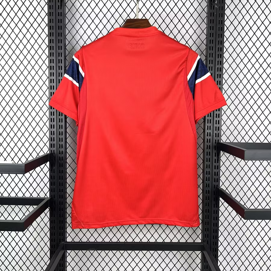 Maillot Norvège DOMICILE dos